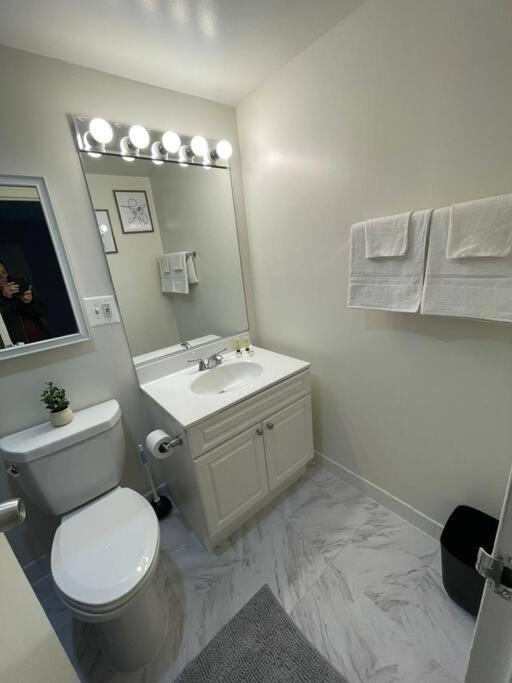 Charming Apartment At Crystal City With Amazing Amenities Arlington Exterior photo